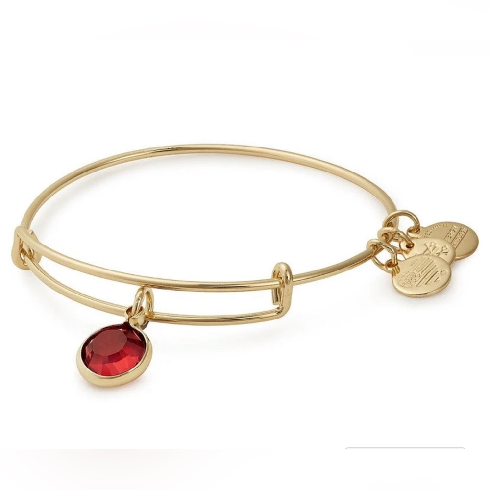 Alex and ani January Birthday garnet bracelet